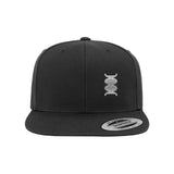 DNA COLLECTION NEW ERA SNAPBACK HAT