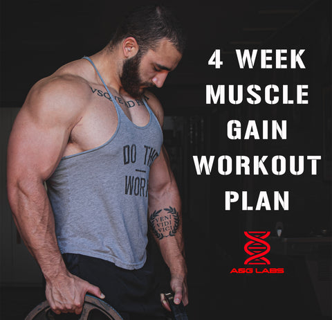 4 Week Muscle Gain Workout Plan
